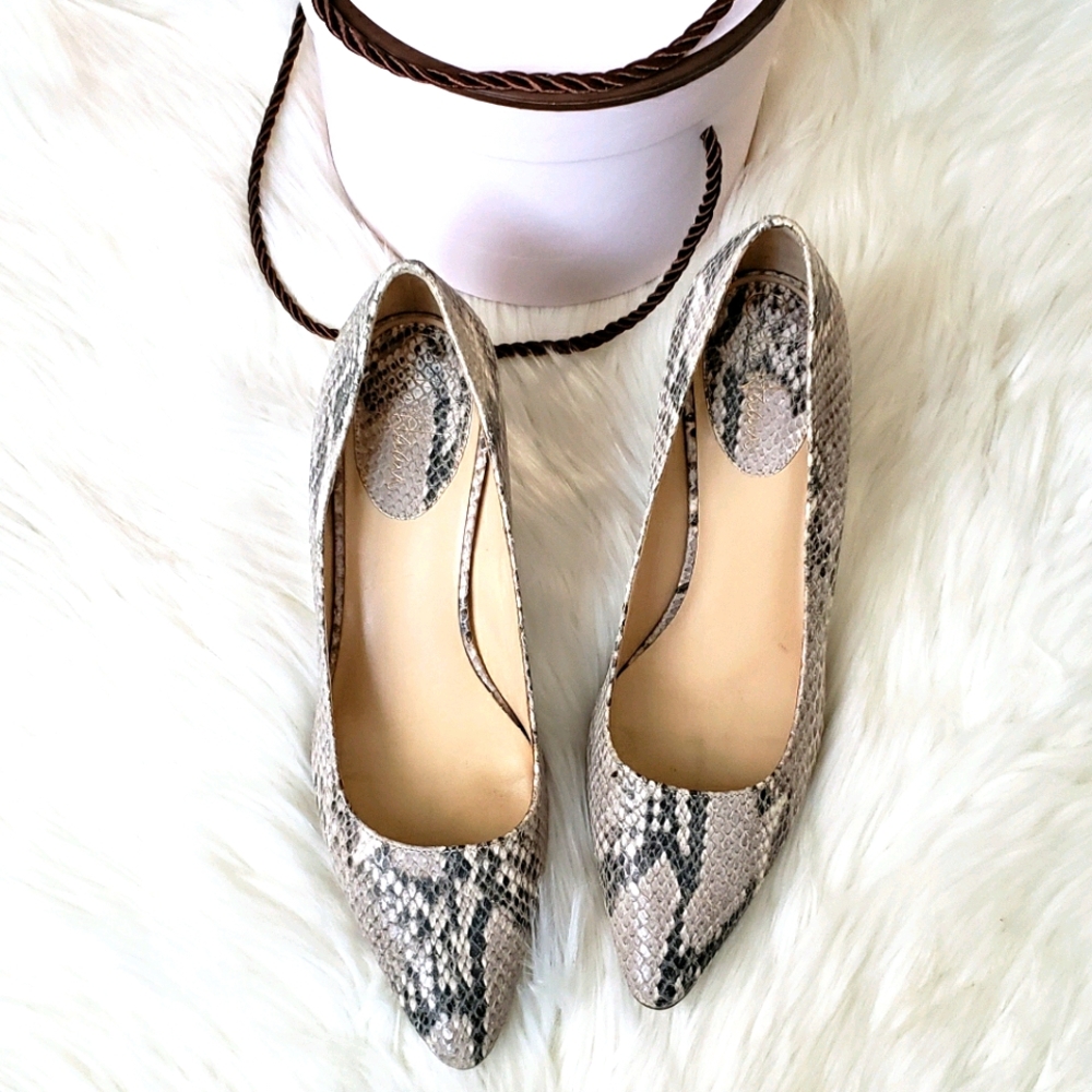 Cole Haan snake print pointy shoes sz 7.5